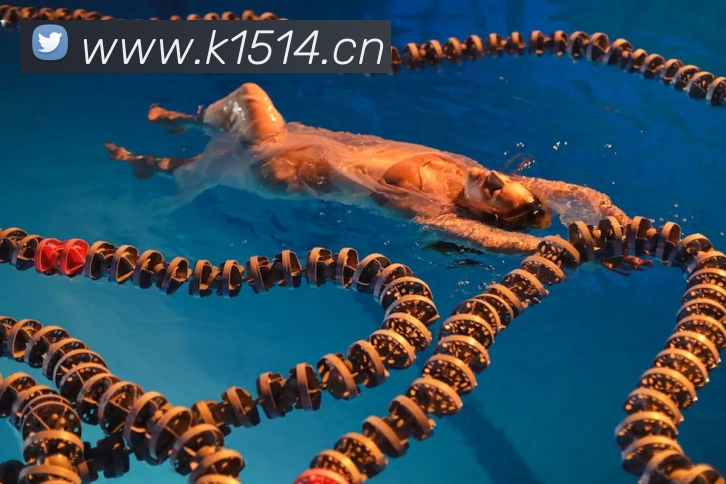 华体在线登录入口发展历程